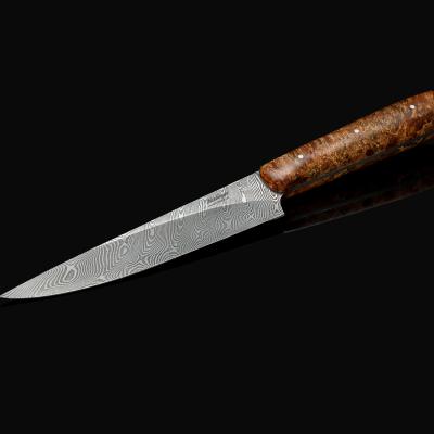 Damascus Petty 152mm with Highly Figured Maple Handle