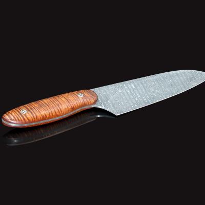 Evolution Damascus Chef Knife with Premium Curly Koa Handle
