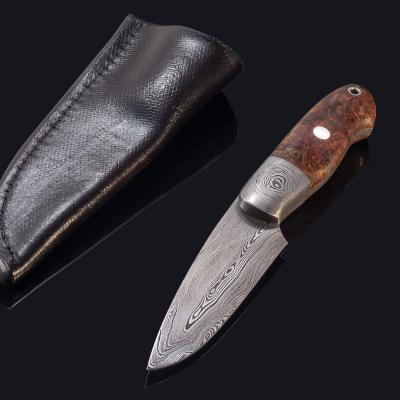 Castle 2 Damascus Hunter with Stabilized Maple Burl Handle with sheath