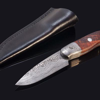Castle Damascus Hunter with Stabilized Spalted Koa Handle with leather sheath